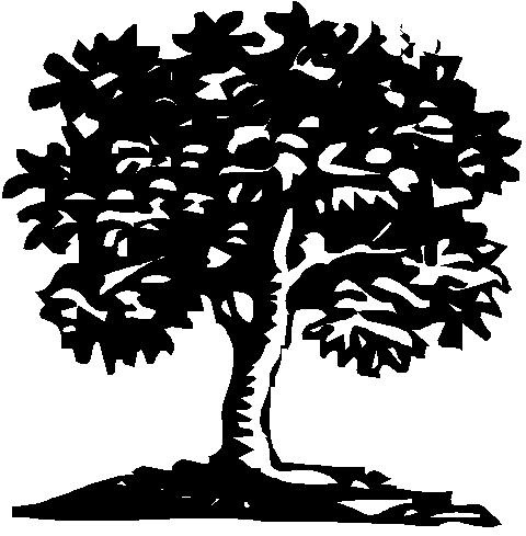 [GIF] arbre